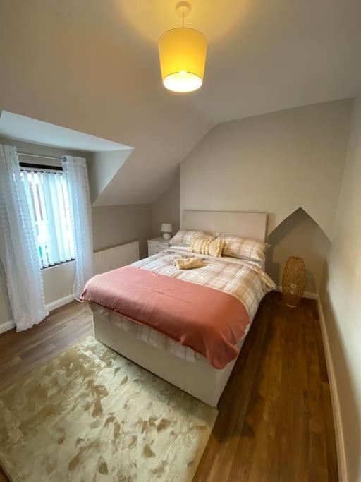 The Cozy Homestay Belfast Buitenkant foto