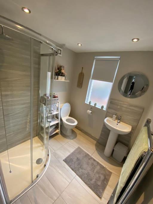The Cozy Homestay Belfast Buitenkant foto