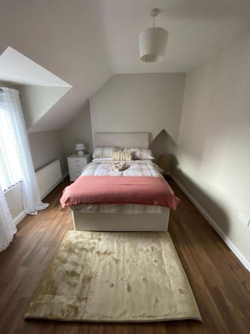 The Cozy Homestay Belfast Buitenkant foto