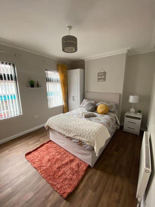 The Cozy Homestay Belfast Buitenkant foto